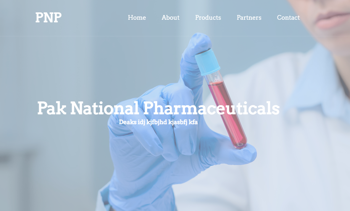 Portfolio-site Image